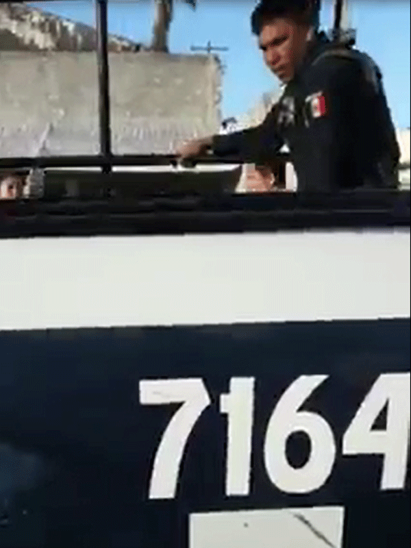 Se desconoce el estado de salud del canino y si fue llevado a algún veterinario.