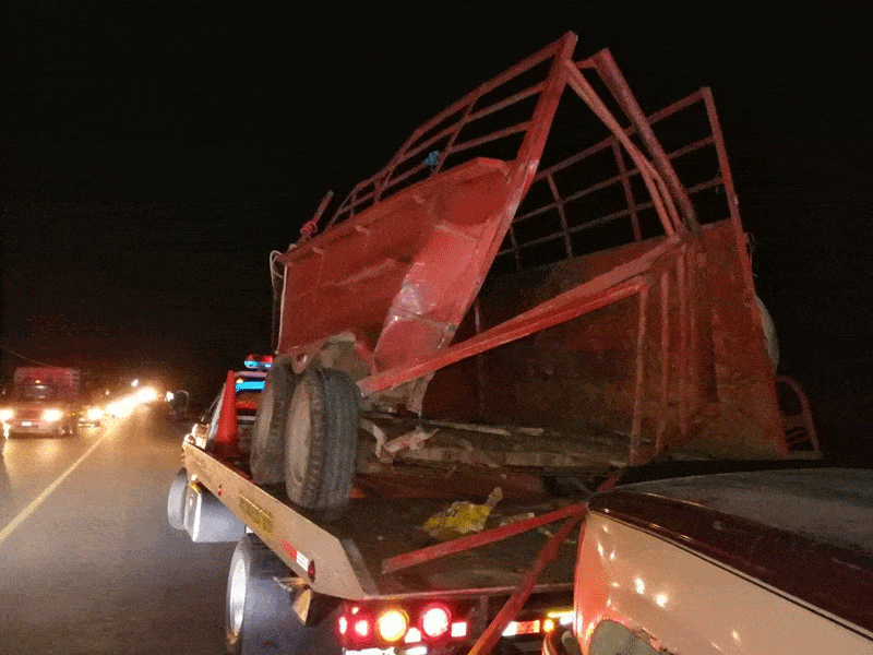 Camioneta se impacta contra el remoque que transportaba a los equinos.