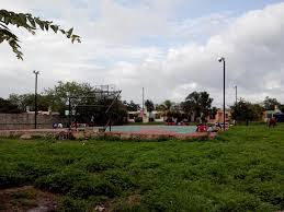 Vecinos del Fraccionamiento Orquideas en Valladolid, Yucatán, reportan envenenamiento de sus perros