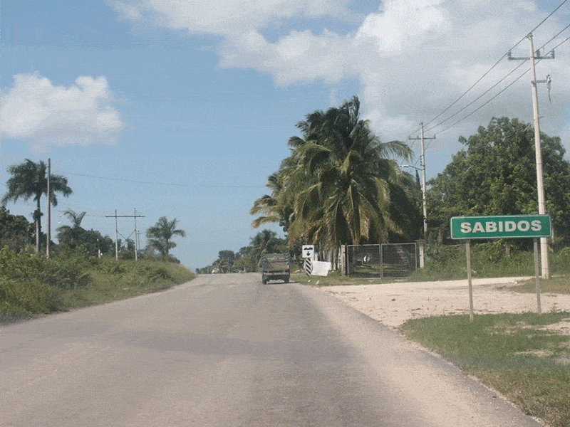 Hallan una osamenta en un barranco en la carretera Allende-Sabidos, perteneciente al Municipio de Othón P. Blanco, en la Zona Sur de Quintana Roo.