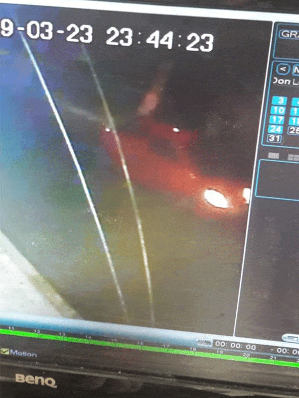 Un sujeto bajó de un vehículo y le arrebató de las manos a su perrito Pomerania a una mujer que lo sacó a pasear.