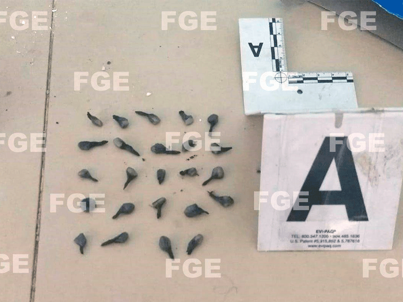 El cateo permitió asegurar 24 dosis en bolsas de nailon color negro, cada una conteniendo sustancia sólida de color beige con características de la cocaína en “piedra”.