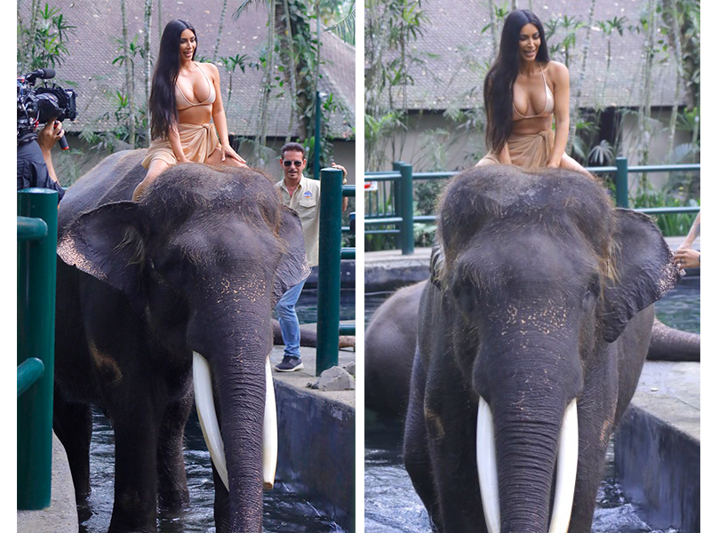Kim Kardashian asiste a un santuario de Elefantes y los ambientalistas la atacan