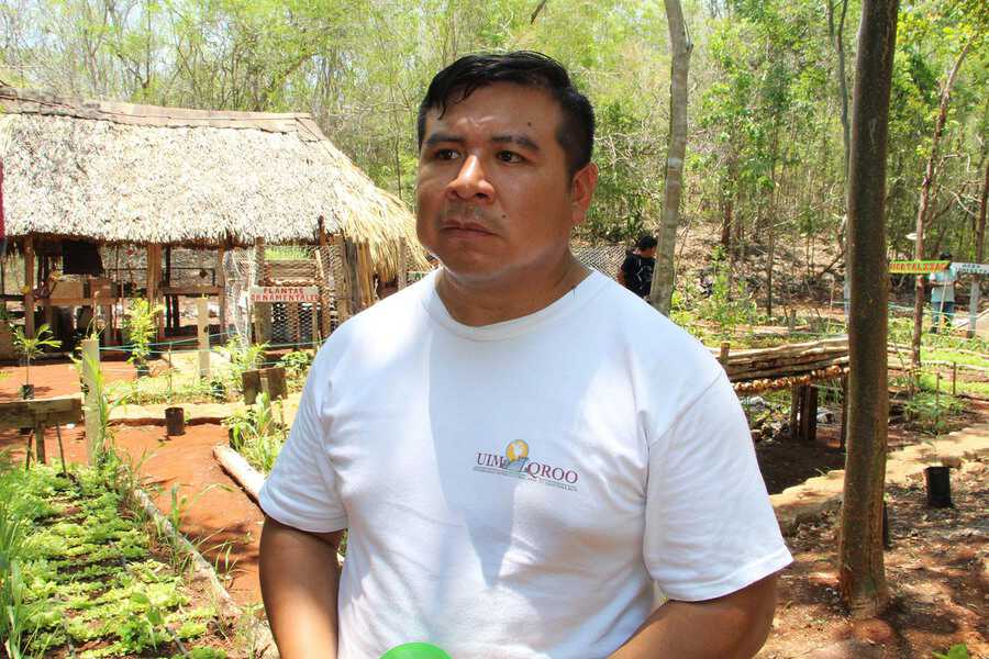 La Universidad Intercultural Maya de Quintana Roo (Uimqroo) fomenta la conservación de diversos factores esenciales de la región, algunos de ellos, las especies de maíz rojo y morado criollo, que son orgánicos y sin aditamentos químicos que expongan la salud de los consumidores.