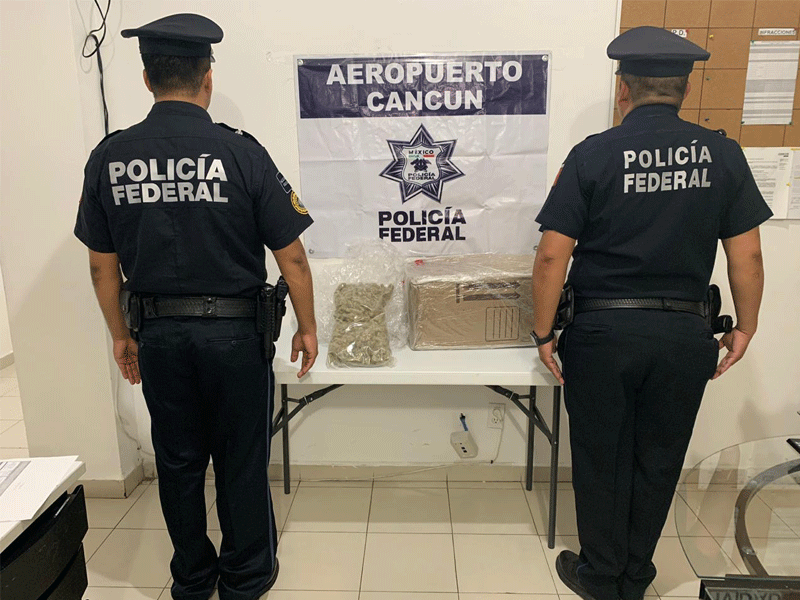 Decomisan marihuana en empresa de mensajería; elementos de la Policía Federal confiscan una caja que contenía más de un kilo de la droga.