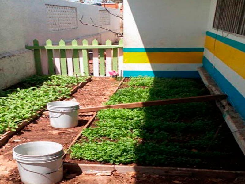 Escuela de Leona Vicario con certifcado “Eco-School".