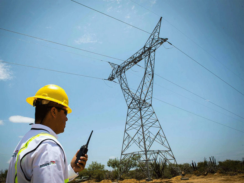 omo titular de Sener, Yucatán se sumó a la “revolución verde”: Joaquín Coldwell; rechaza exfuncionario haber ocultado crisis energética en la Península.