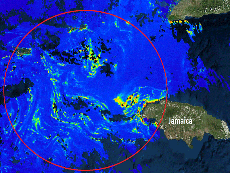 Amenaza 'isla' de sargazo a las costas de Quintana Roo; advierte Red de Monitorero que la próxima semana se verán afectados principalmente Tulum y Xcalak.
