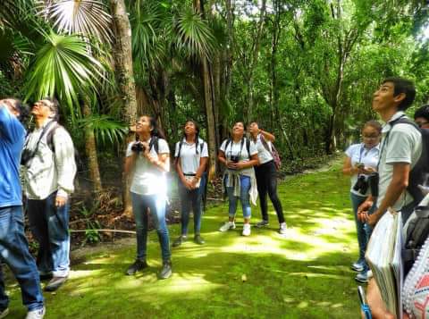 Se familiarizan con los atractivos turísticos del destino, principalmente los que tienen que ver con turismo sostenible