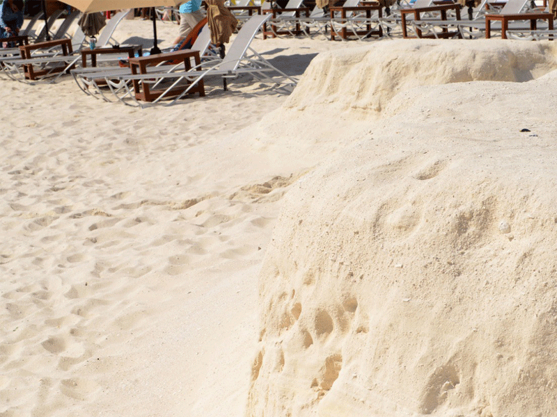 Aceleró sargazo la erosión de las playas en Q. Roo; advierte científica que lo que no hizo el huracán “Wilma, sí lo hizo el arribo de las algas marinas.