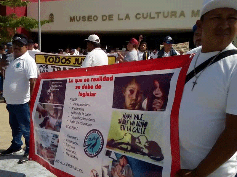 Ley dejaría sin fuente de ingresos a cientos de familias en Quintana Roo.