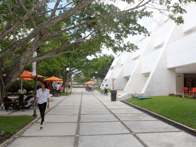 Impartirá la Anáhuac Doctorado Internacional de Turismo; en México son pocos los que se ofrecen y éste es el único que es impartido mediante alianza con OMT.