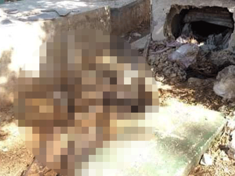 Profanan tumba de maestro en José María Morelos; desconocidos rompen una bóveda para extraer el cuerpo inhumado en noviembre del año pasado.