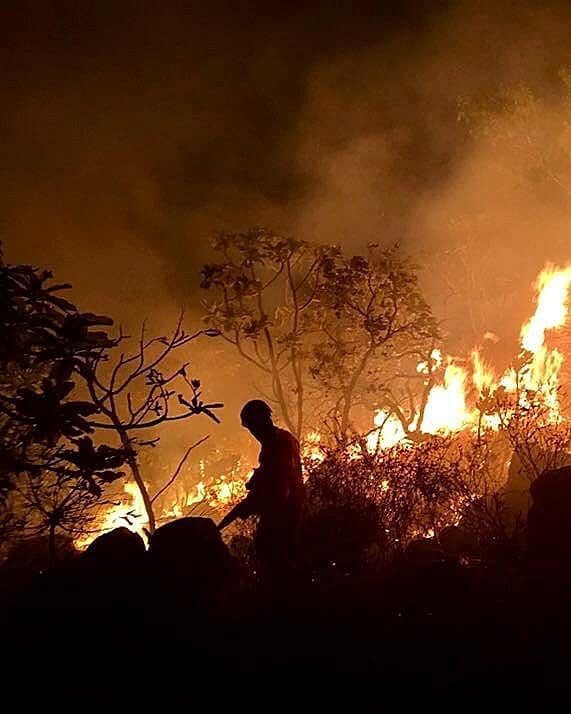 Apenas el día de hoy fueron enviados al menos 44 mil soldados brasileños a combatir los incendios, aparentemente provocados por ganaderos.