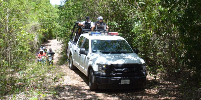 Guardia Nacional se suma a búsqueda de ciclistas en Cancún; se apoyan las autoridades en caninos para tratar de ubicar a dos desaparecidos en la selva.