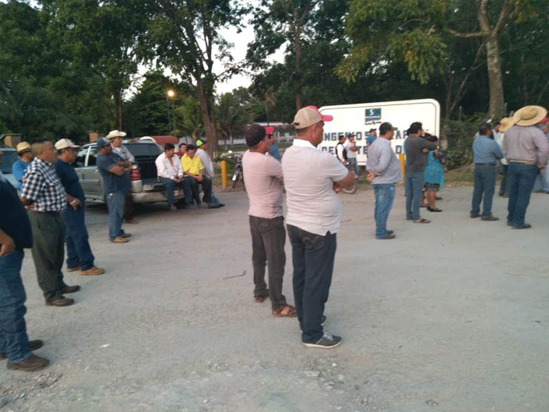 Los productores están apostados en la puerta del ingenio azucarero.
