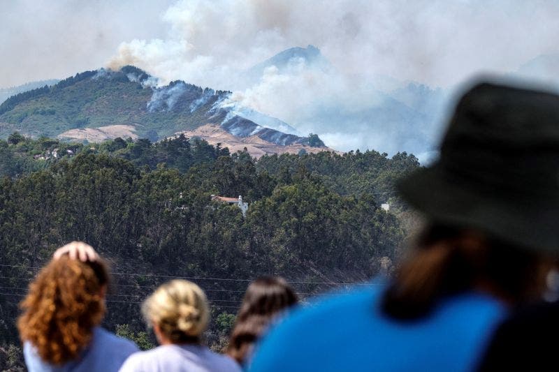 Es urgente hacer algo en el cuidado de nuestro entorno y dejar de depredar nuestros bosques y selvas.