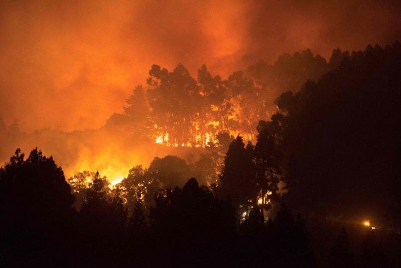 Voraz incendio en la Gran Canaria contribuye al calentamiento global y hace crecer el riesgo de una glaciación.