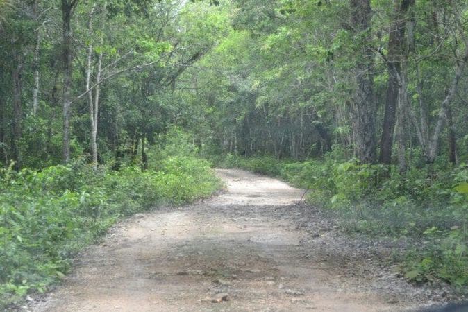 Se gestionará pavimentación de la vía de comunicación a Santa Amalia