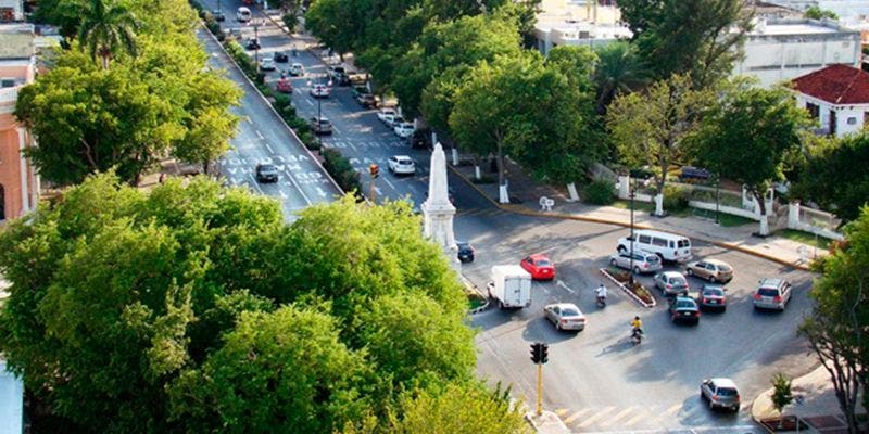 Creyeron que su abuelita fue a misa y ahora lleva desaparecida cuatro días