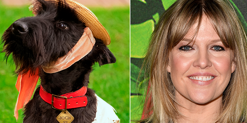 La Dama y El Vagabundo: Primeras imágenes del elenco canino