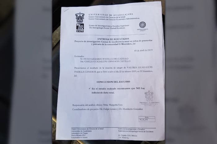 Existen seis pesticidas que están presentes en el 100 por ciento de la población de los niños. Fotografía: Sara Leos.