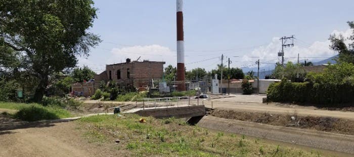 Existen seis pesticidas que están presentes en el 100 por ciento de la población de los niños. Fotografía: Sara Leos.