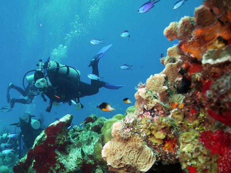 Suspenden acceso a zonas arrecifales en Cozumel; autoridades del Parque Nacional Arrecifes de Cozumel toman la medida para frenar los daños a los corales.