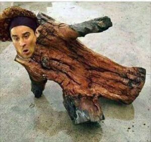 Liga MX: Los mejores memes del partido América vs Pumas, Clásico Capitalino