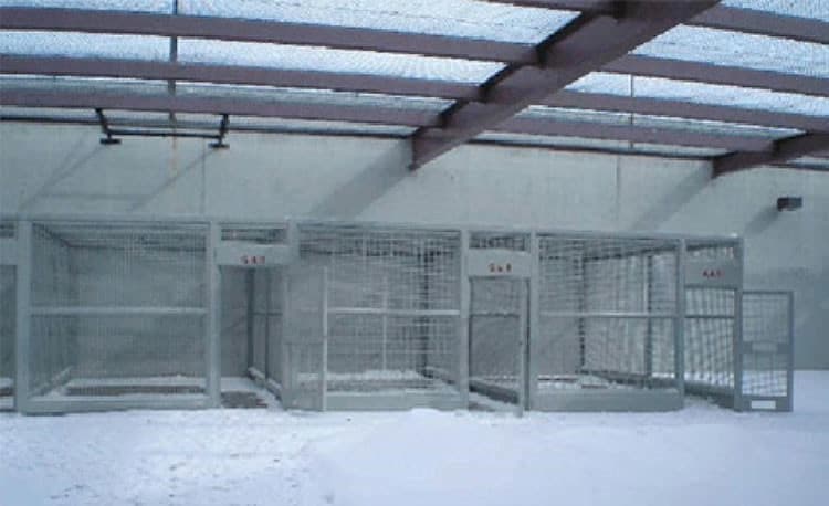 El Chapo Guzmán” está quedando ciego, se ve más flaco y apagado