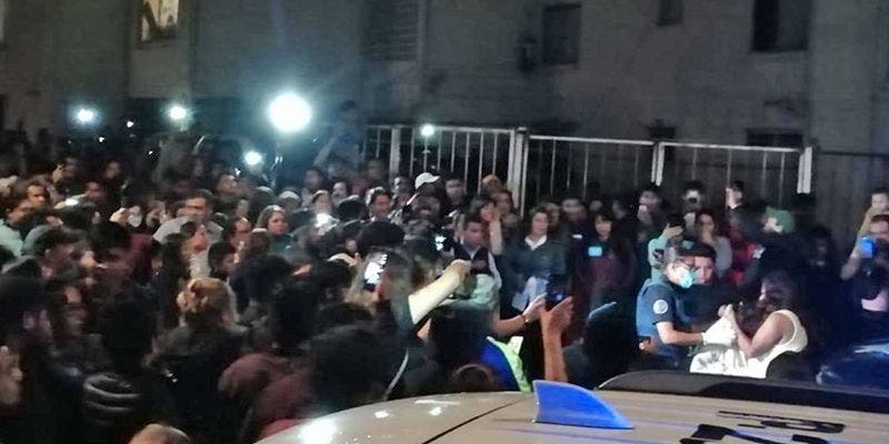 Mujer “robaba y refrigeraba” a los perros de sus vecinos