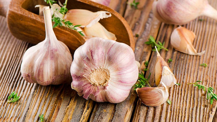 Salud | 3 Beneficios de comer AJO en ayunas