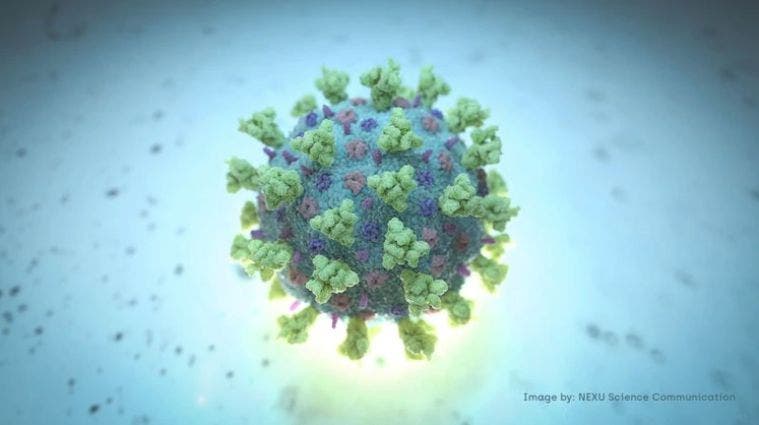 magen referencial de una imagen creada por Nexu Science Communication junto al Trinity College en Dublín que muestra un modelo estructuralmente representativo de un betacoronavirus, que es el tipo de virus asociado al COVID-19, mejor conocido como el coronavirus asociado al brote de Wuhan. NEXU Science Communication/via REUTERS ESTA IMAGEN FUE PROVISTA POR UNA TERCERA PARTE. CRÉDITOS OBLIGATORIOS.