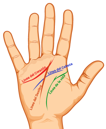 Significado de las líneas X en la mano, ¿tienes una?