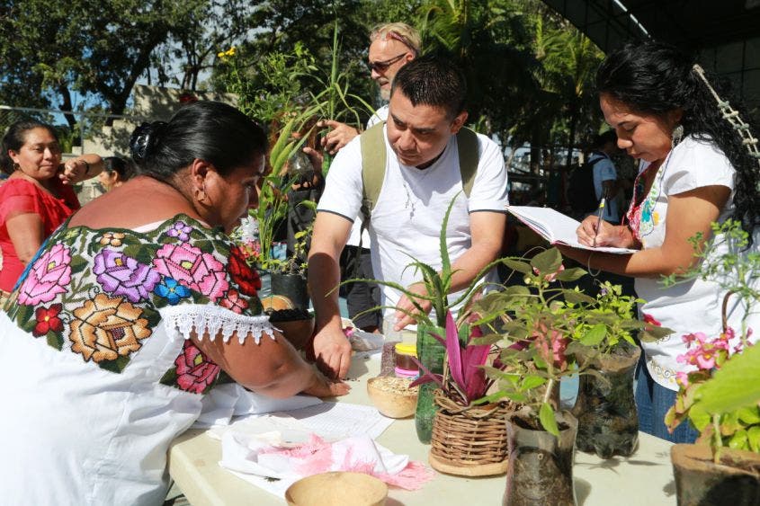 En el 2020, fuerte impulso para los productores agropecuarios de la zona maya: Eva Rocha Geded.