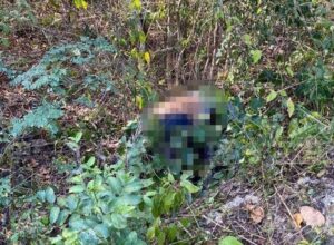 Fallece motociclista en autopista de cuota Mérida-Cancún