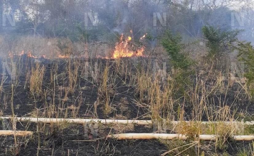 Se perdieron 20 hectáreas de pastizales, debido al fuego.- Foto: Novedades