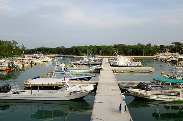 Buscan que Fonatur administre la marina Cozumel