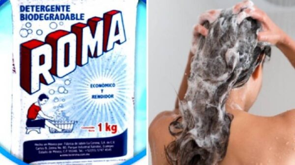 10 maneras de utilizar el detergente ROMA