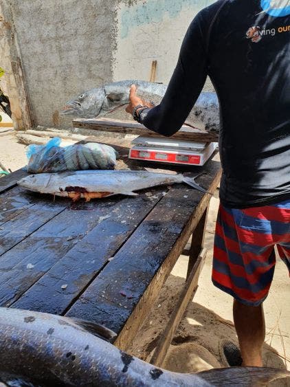 No está restringida la pesca en Playa del Carmen; las embarcaciones no están prestado servicios turísticos: José Gómez.