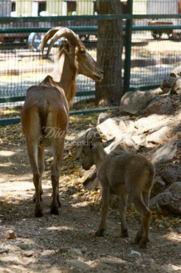 Foto: Diario de Yucatán.