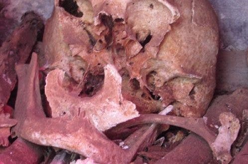 Osamenta del extraviado.