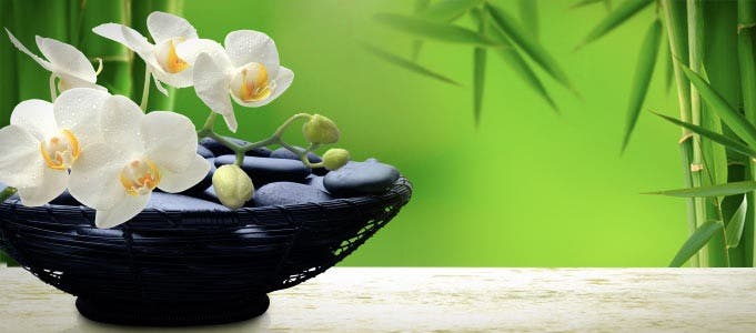 10 flores que te darán buena suerte según el Feng Shui