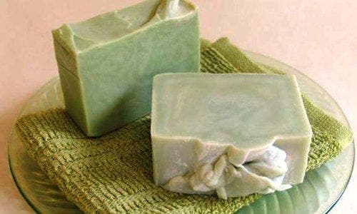 Crea tu propio jabón artesanal de Aloe Vera