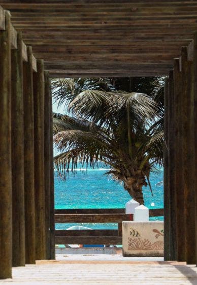 El trabajo en equipo es garantía de éxito: Laura Fernández, para enfrentar la emergencia sanitaria generada por la pandemia de Covid-19