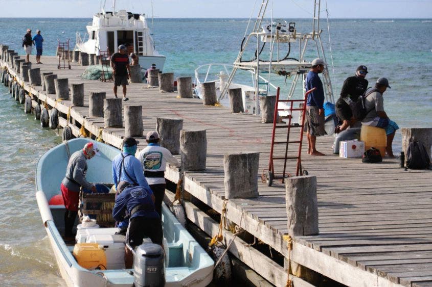 Han encontrado diversas trabas y nula atención de autoridades de la dependencia federal, para obtener permisos de salir a pescar para el autoconsumo, destaca la alcaldesa de Puerto Morelos