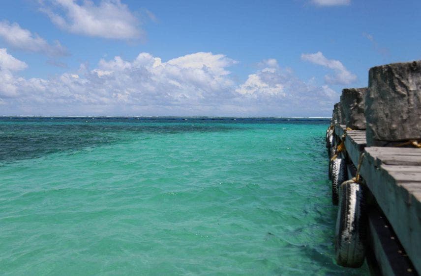 Activa Laura Fernández acciones para mantener playas libres de sargazo, se han instalado 1,200 metros lineales de barreras marinas