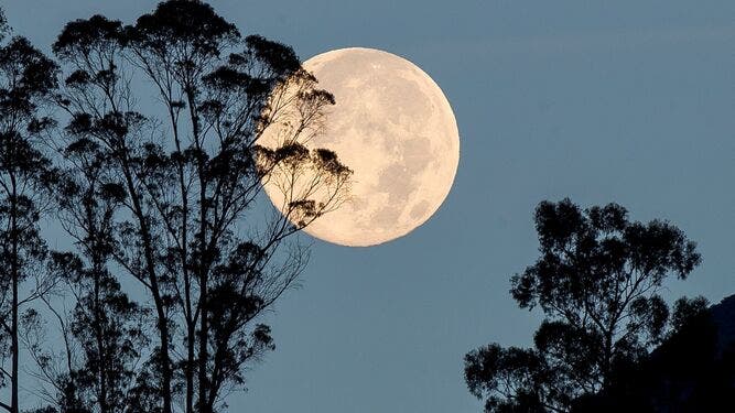 Cómo afectará a cada signo la Superluna de las Flores del 7 de mayo