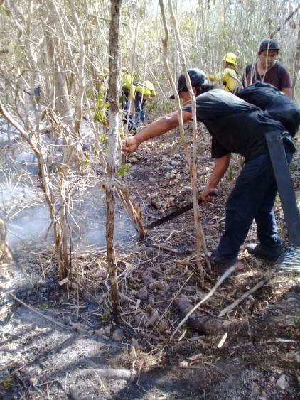 Incendio forestan en Nuevo X-Can devasta 200 hectáreas; unos 260 ejidatarios tratan de controlar el fuego, ante la falta de apoyos.