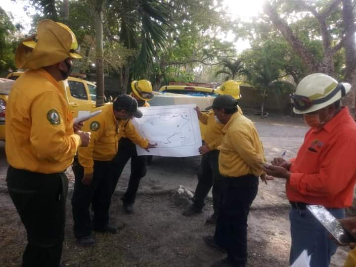 Puerto Morelos el más afectado por los incendios forestales; en esta temporada se han visto dañadas más de 11 mil hectáreas en Quintana Roo.